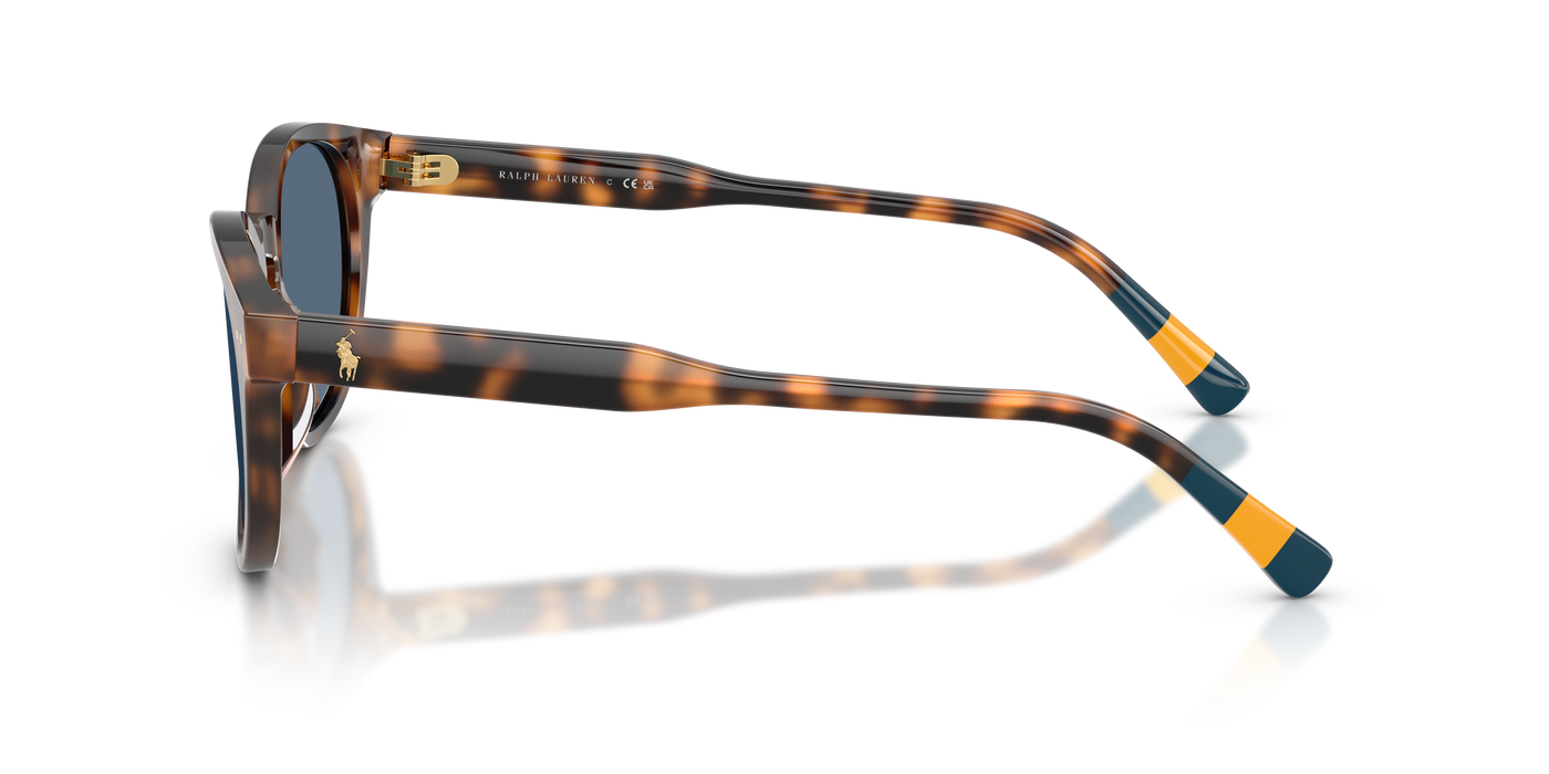 Gafas de Sol Polo Ralph Lauren PH4241U 608980 52 20
