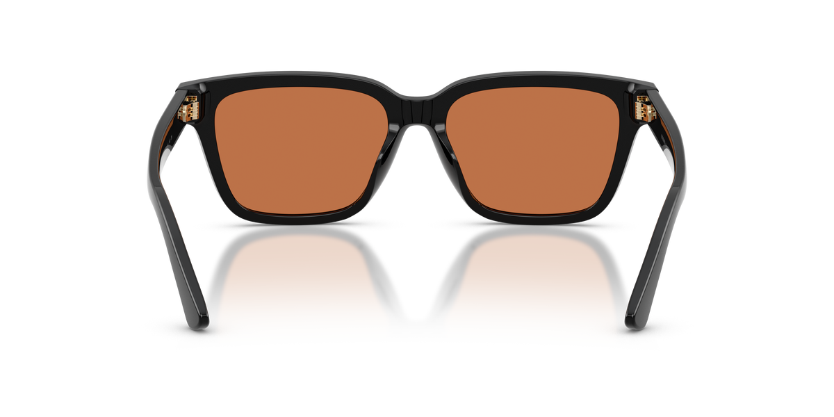 Gafas de Sol Polo Ralph Lauren PH4247U 500173 54 16