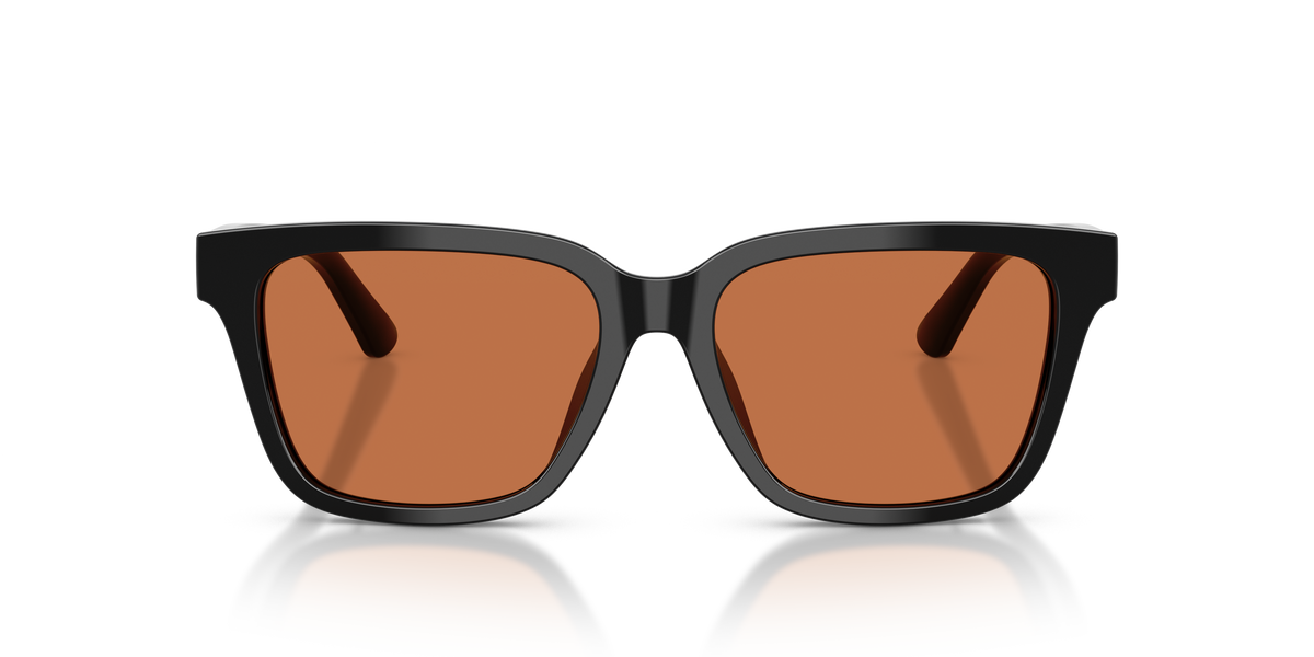 Gafas de Sol Polo Ralph Lauren PH4247U 500173 54 16
