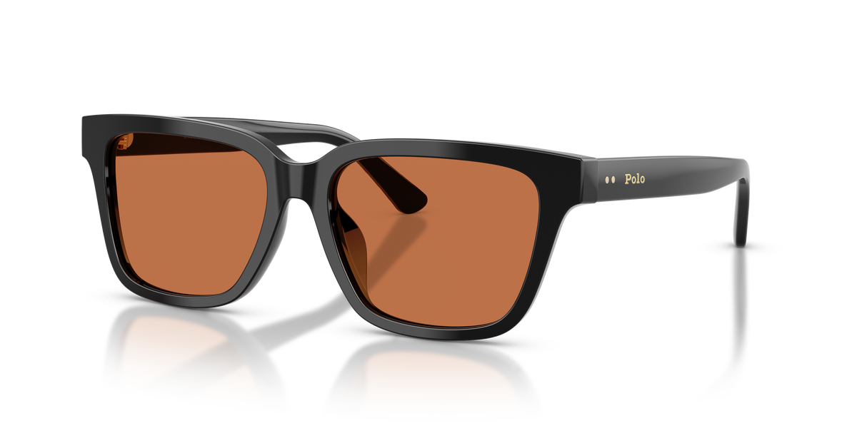 Gafas de Sol Polo Ralph Lauren PH4247U 500173 54 16