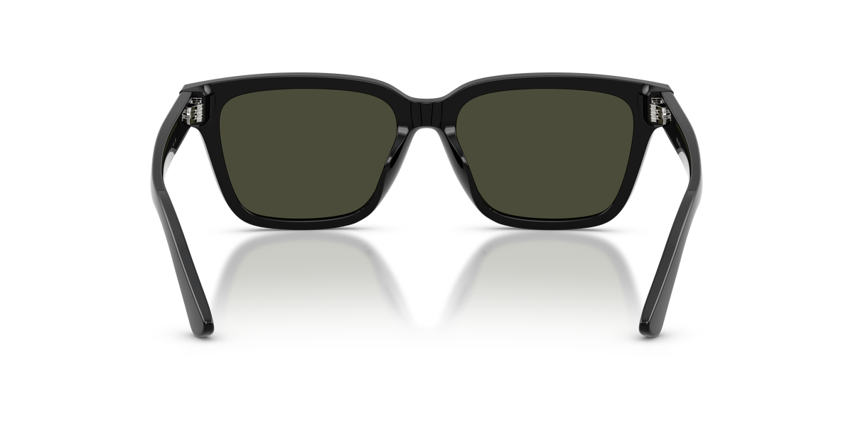 Gafas de Sol Polo Ralph Lauren PH4247U 500182 54 16