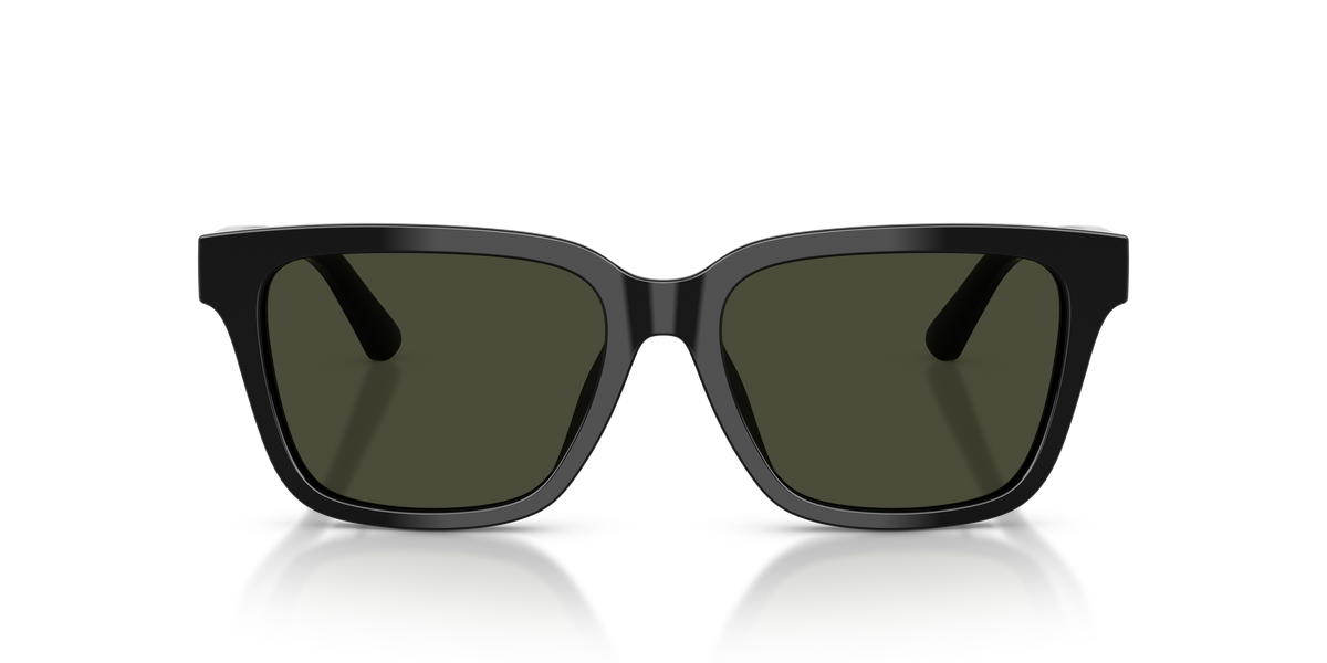 Gafas de Sol Polo Ralph Lauren PH4247U 500182 54 16