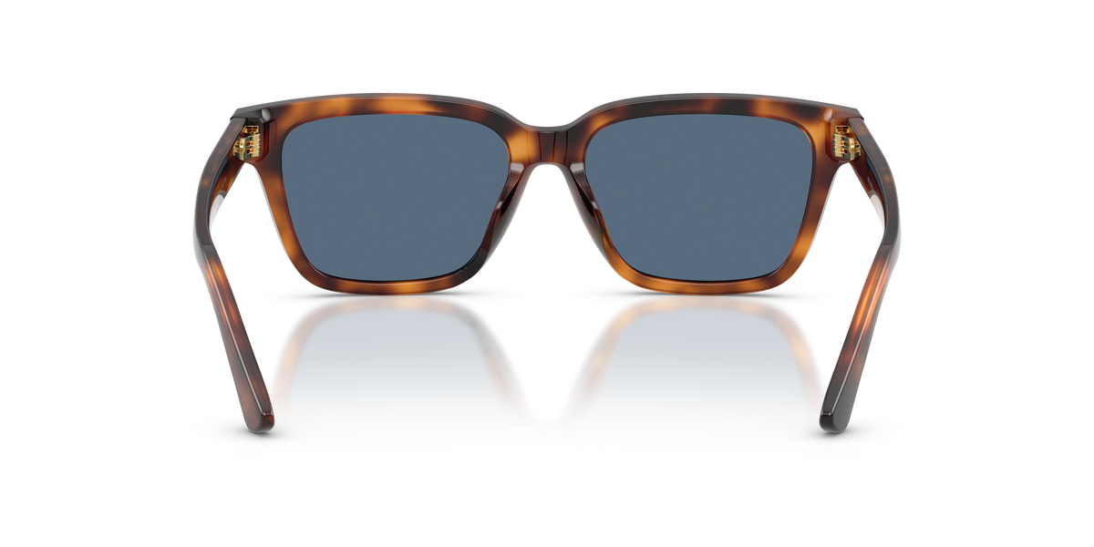 Gafas de Sol Polo Ralph Lauren PH4247U 635580 54 16