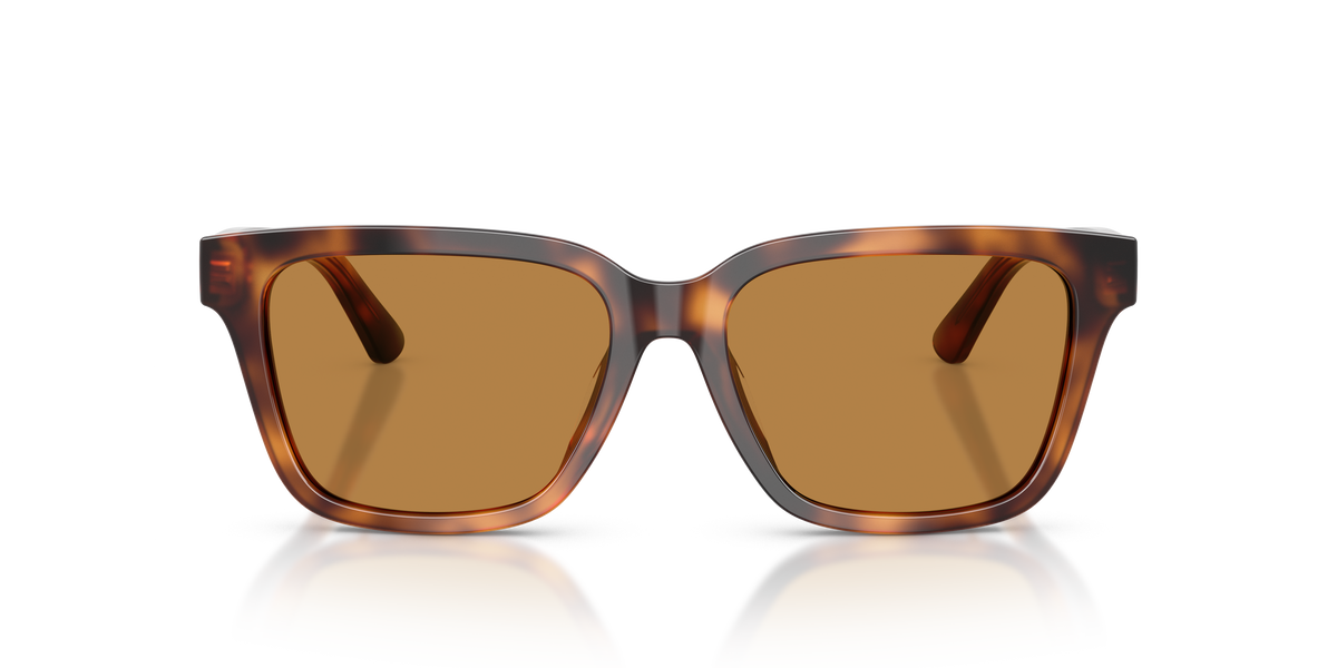 Gafas de Sol Polo Ralph Lauren PH4247U 635593 54 16