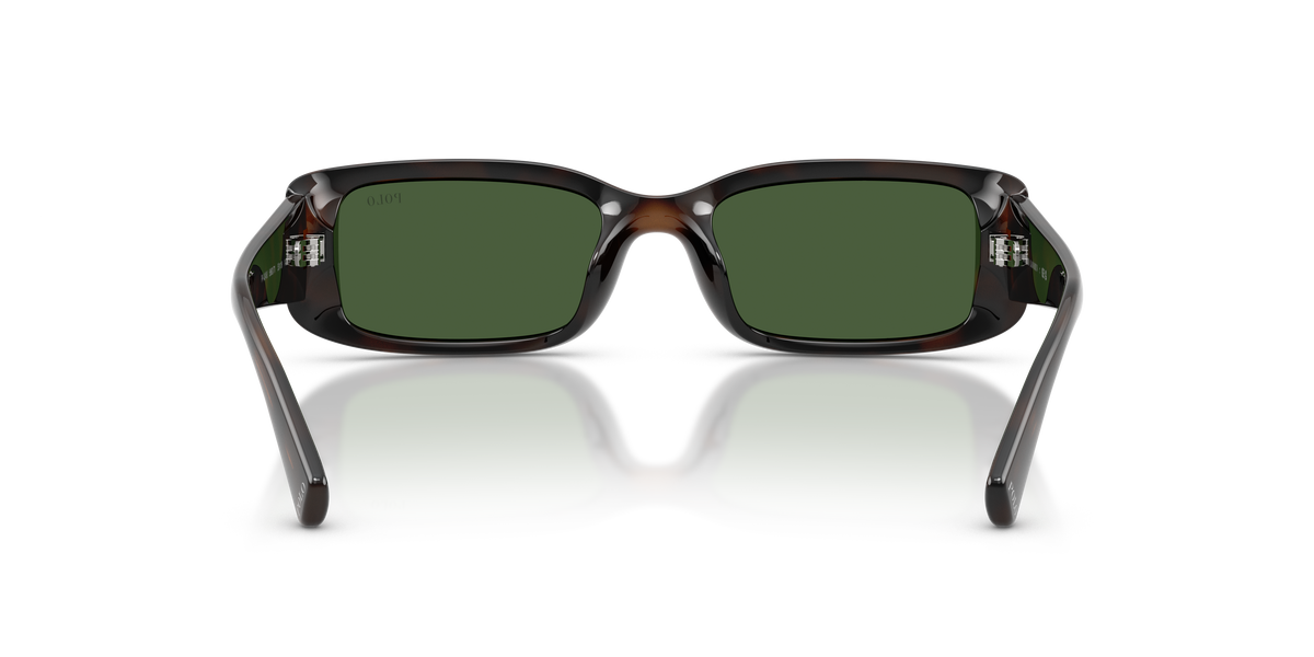 Sunglasses Polo Ralph Lauren PH4249U 586071 53 18