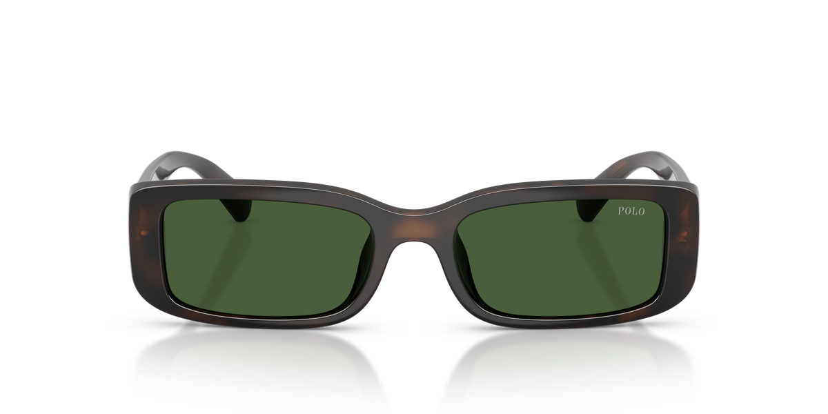 Sunglasses Polo Ralph Lauren PH4249U 586071 53 18