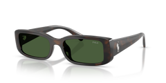 Sunglasses Polo Ralph Lauren PH4249U 586071 53 18