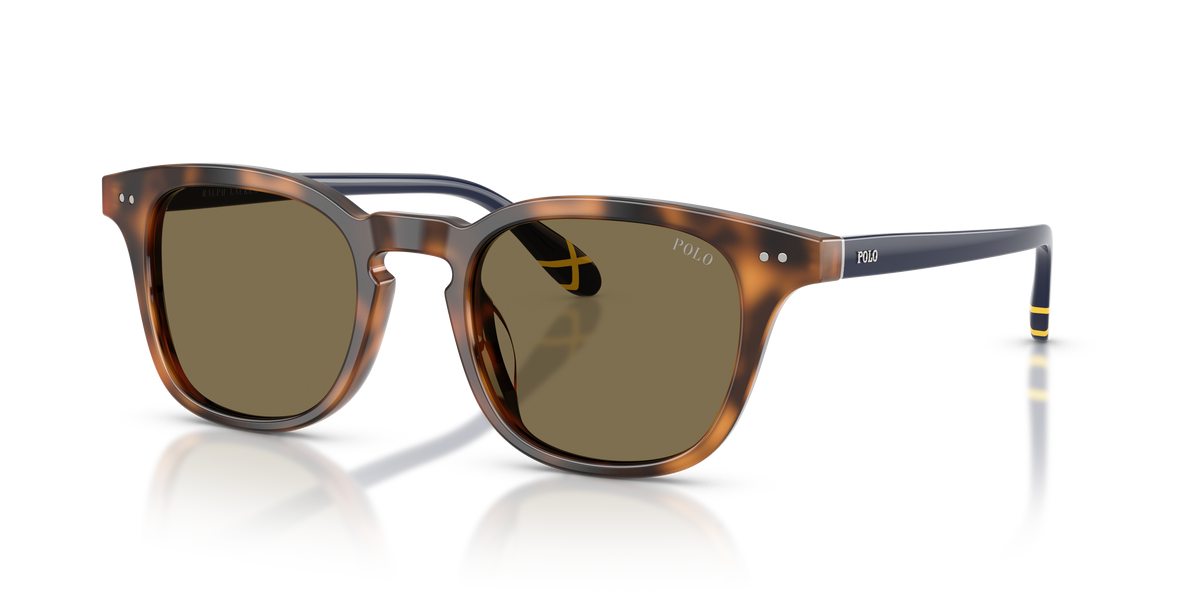 Sunglasses Polo Ralph Lauren PH4251U 608973 50 21