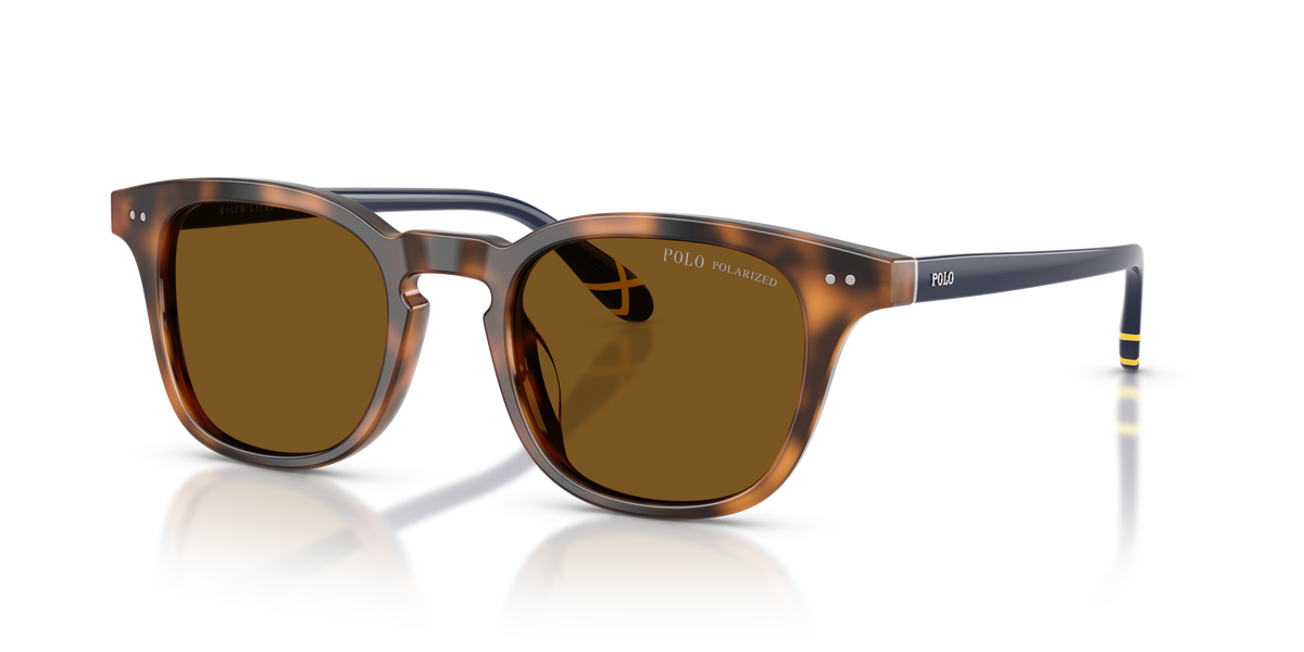 Sunglasses Polo Ralph Lauren PH4251U 608983 50 21