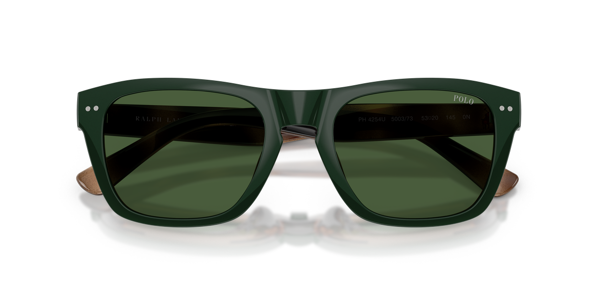 Gafas de Sol Polo Ralph Lauren PH4254U 500373 53 20