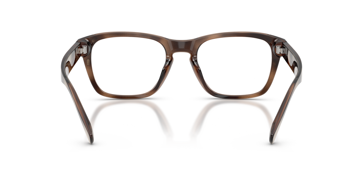 Gafas de Sol Polo Ralph Lauren PH4254U 500373 53 20