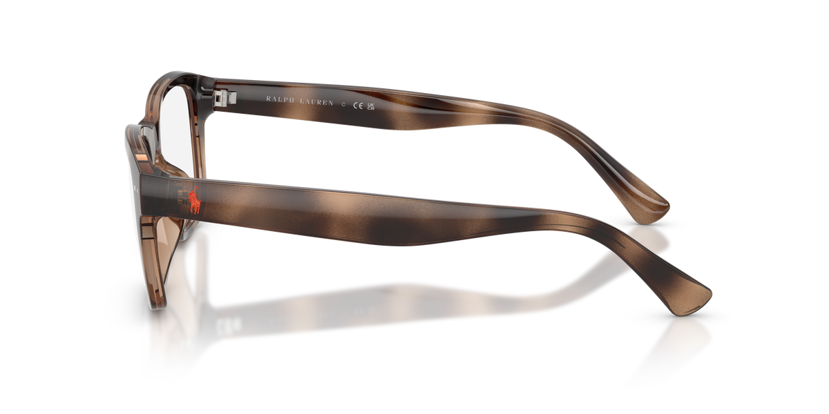 Gafas de Sol Polo Ralph Lauren PH4254U 500373 53 20