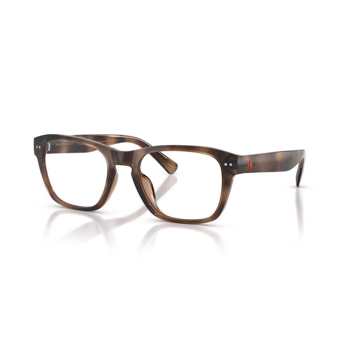 Gafas de Sol Polo Ralph Lauren PH4254U 500373 53 20