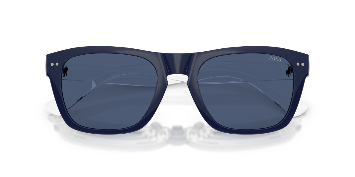 Gafas de Sol Polo Ralph Lauren PH4254U 586787 53 20