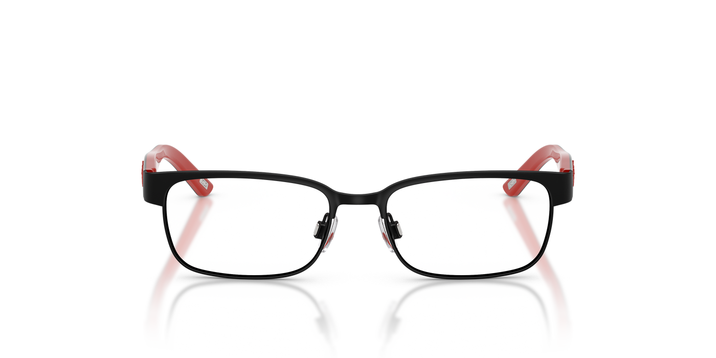 Prescription Glasses Polo Ralph Lauren Pp8036 PP8036 3136 46 15