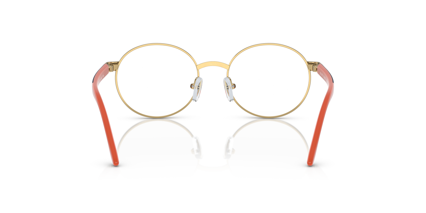 Prescription Glasses Polo Ralph Lauren Pp8041 PP8041 9411 48 17