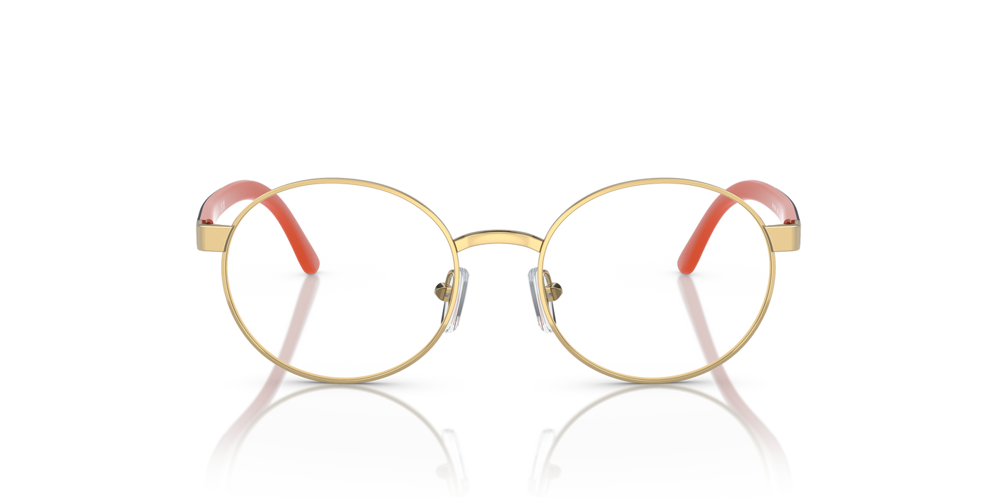 Prescription Glasses Polo Ralph Lauren Pp8041 PP8041 9411 48 17
