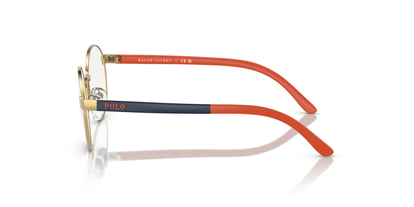 Prescription Glasses Polo Ralph Lauren Pp8041 PP8041 9411 48 17
