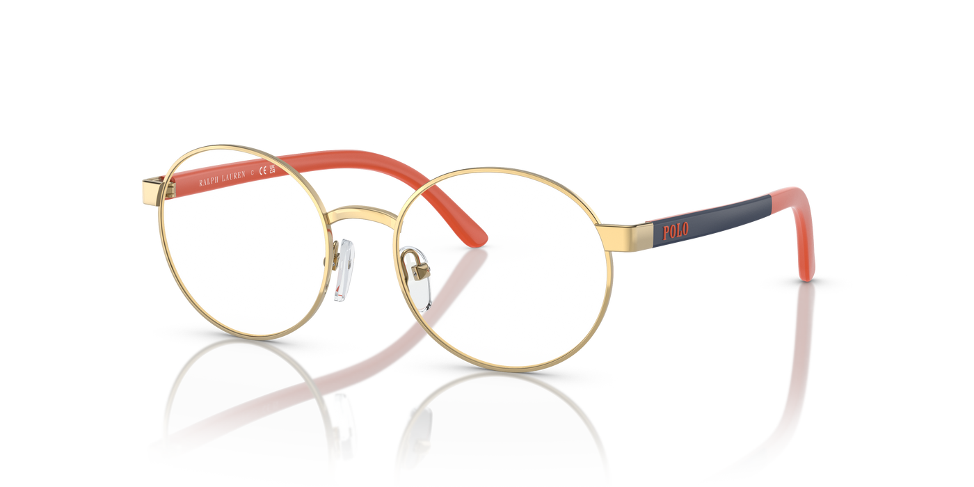 Prescription Glasses Polo Ralph Lauren Pp8041 PP8041 9411 48 17