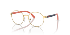 Prescription Glasses Polo Ralph Lauren Pp8041 PP8041 9411 48 17