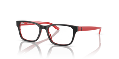 Prescription Glasses Polo Ralph Lauren Pp8534 PP8534 1503 46 16