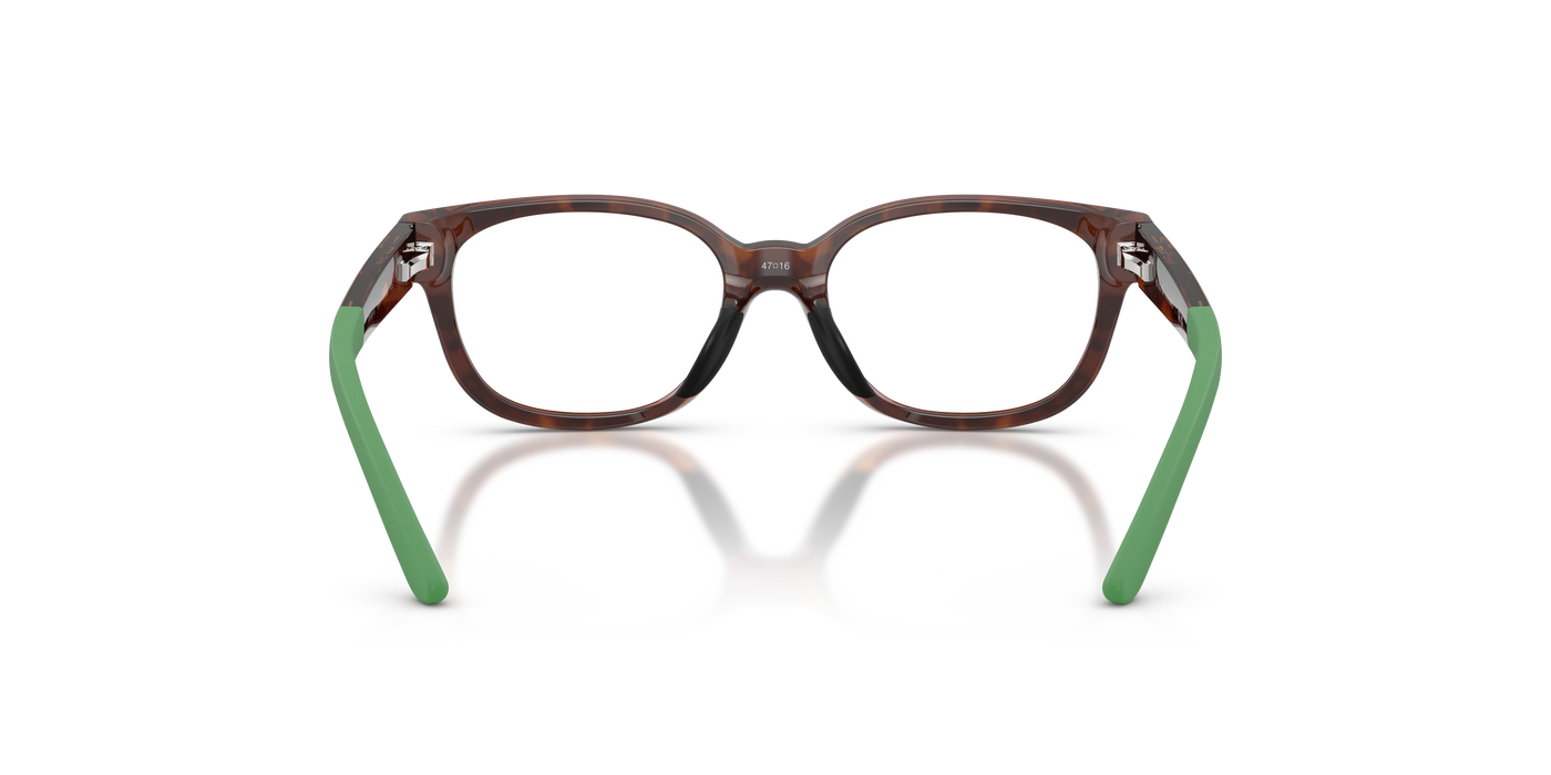 Gafas Graduadas Polo Ralph Lauren Pp8551U PP8551U 5003 45 15