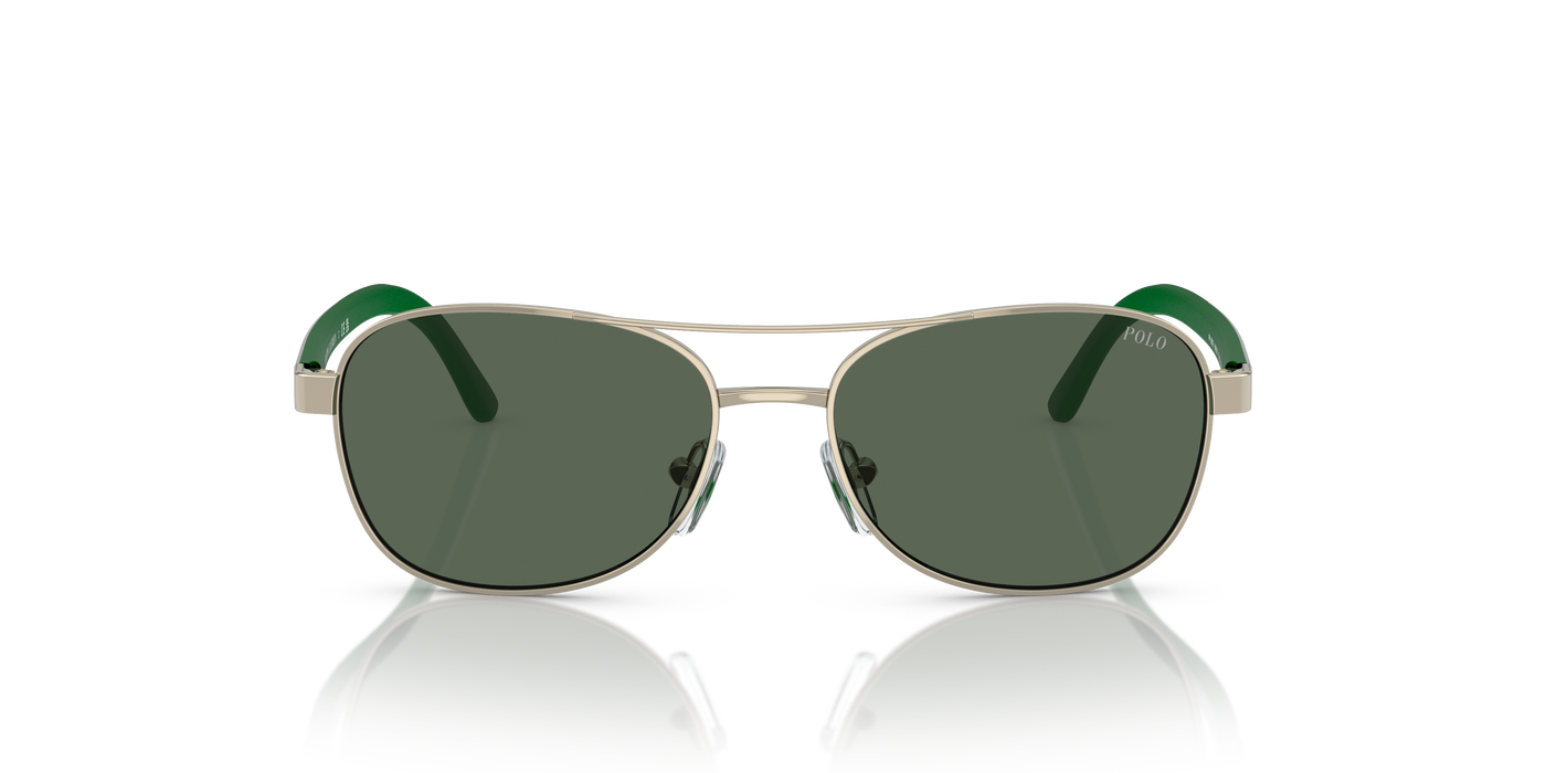 Gafas de Sol Polo Ralph Lauren Pp9002 PP9002 942571 51 15