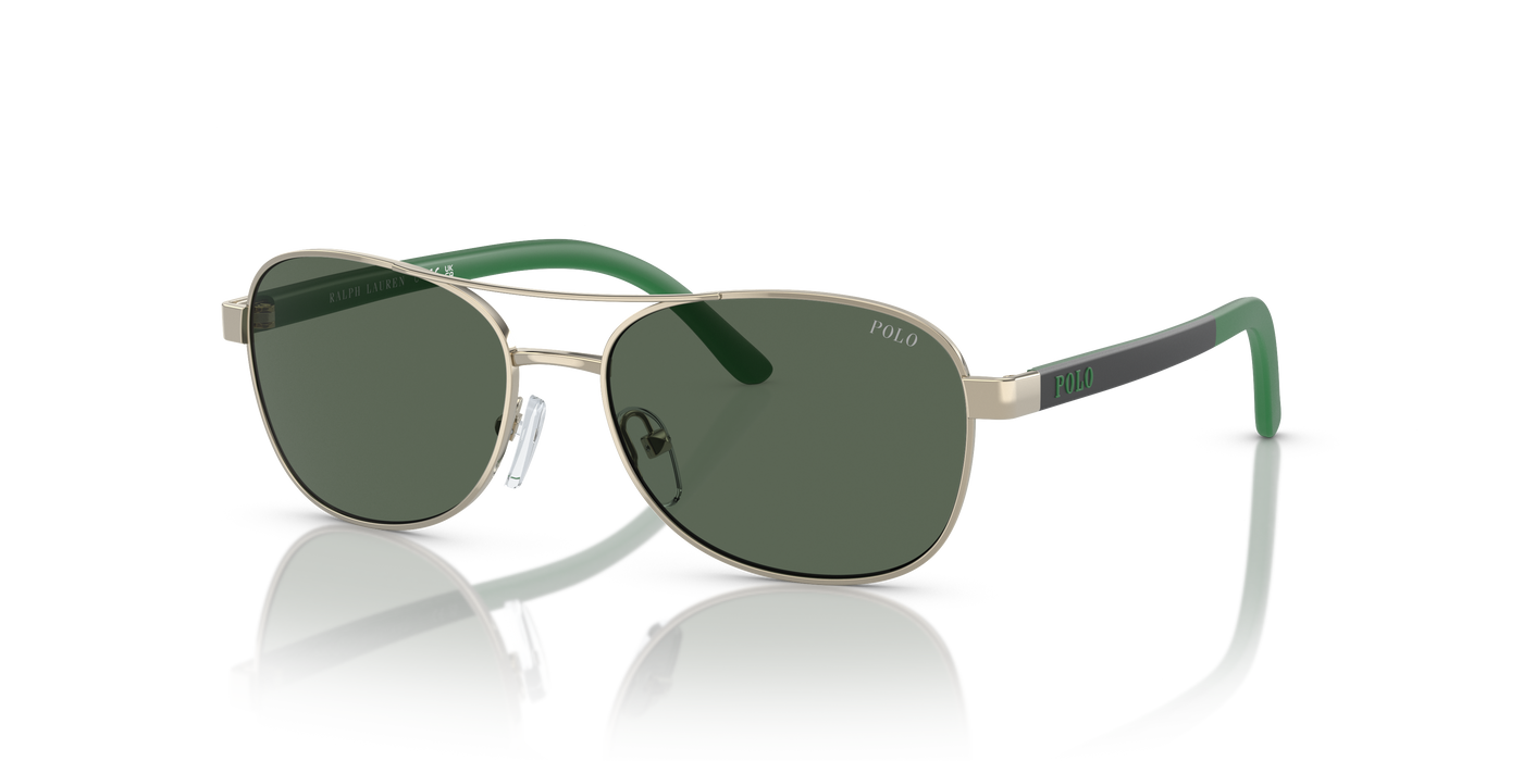 Gafas de Sol Polo Ralph Lauren Pp9002 PP9002 942571 51 15