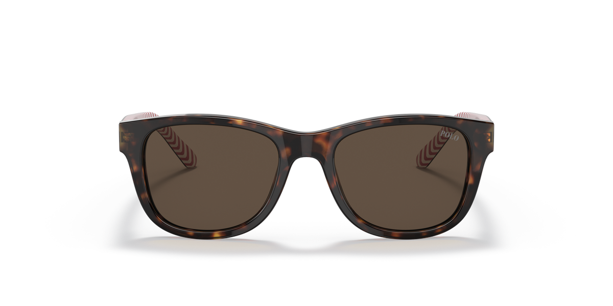 Gafas de Sol Polo Ralph Lauren PP9501 593673 47 17