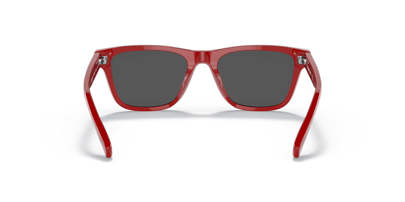 Gafas de Sol Polo Ralph Lauren Pp9504U PP9504U 525787 49 17