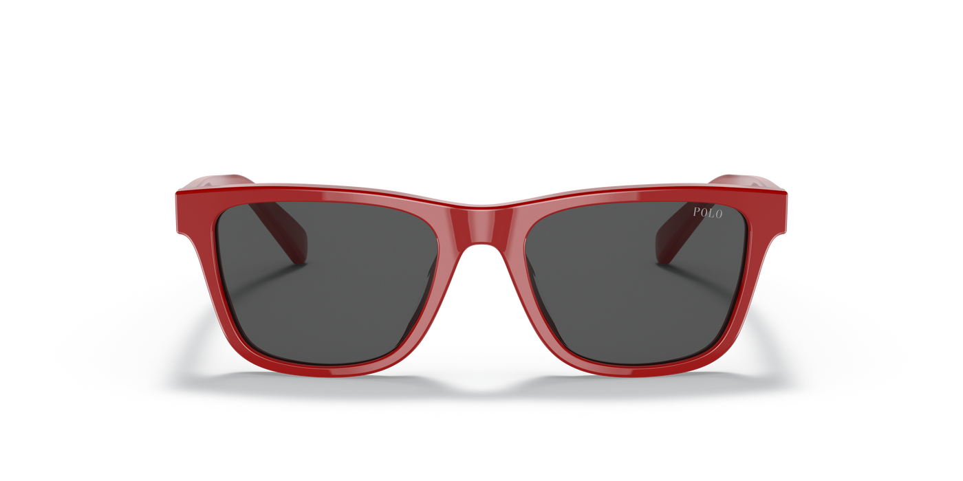 Gafas de Sol Polo Ralph Lauren Pp9504U PP9504U 525787 49 17