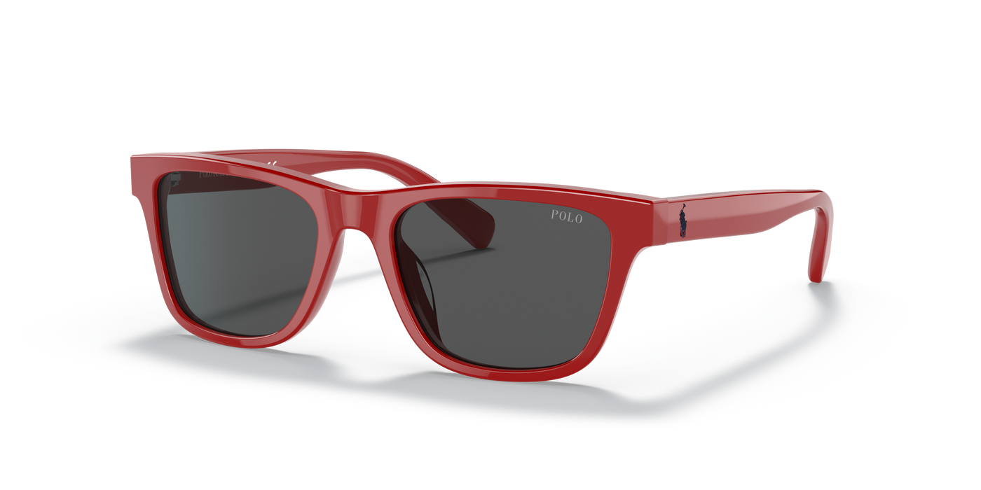 Gafas de Sol Polo Ralph Lauren Pp9504U PP9504U 525787 49 17