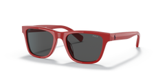 Gafas de Sol Polo Ralph Lauren Pp9504U PP9504U 525787 49 17