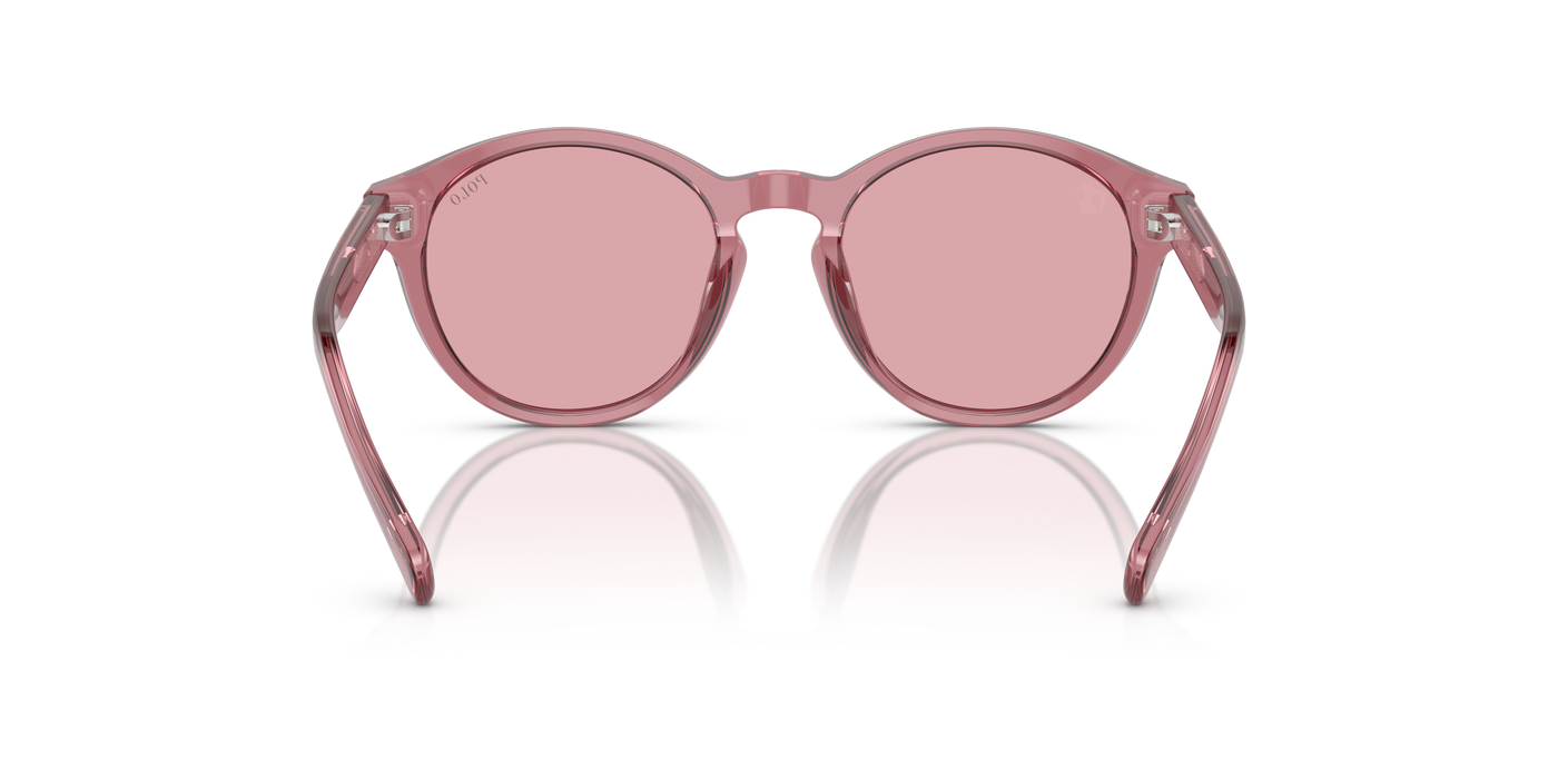 Gafas de Sol Polo Ralph Lauren Pp9505U PP9505U 522084 48 19
