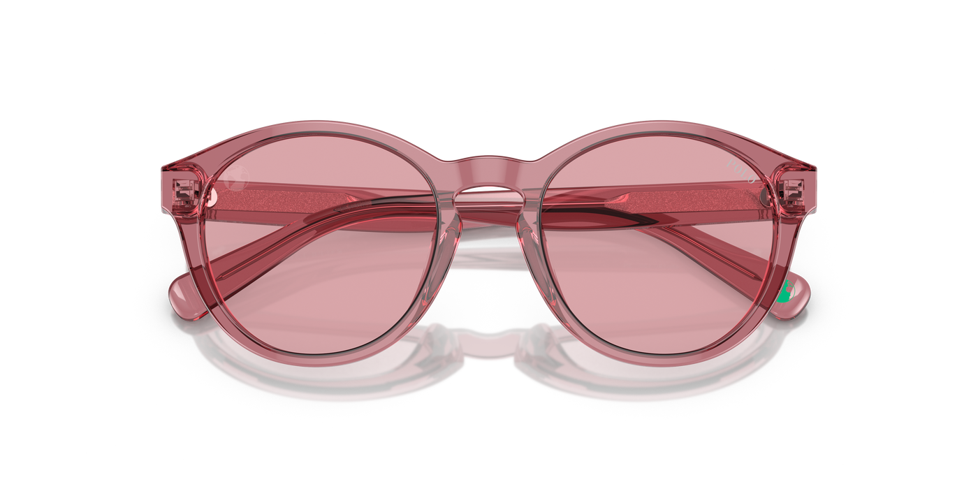 Gafas de Sol Polo Ralph Lauren Pp9505U PP9505U 522084 48 19