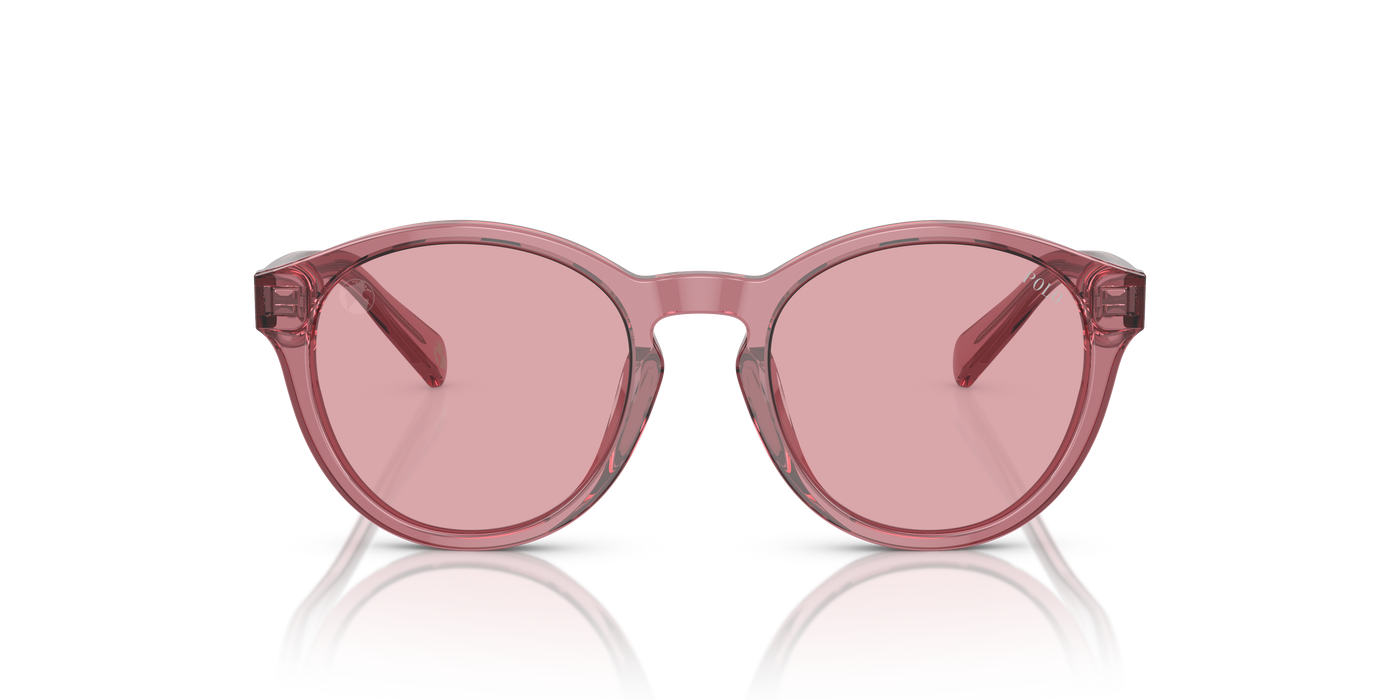 Gafas de Sol Polo Ralph Lauren Pp9505U PP9505U 522084 48 19