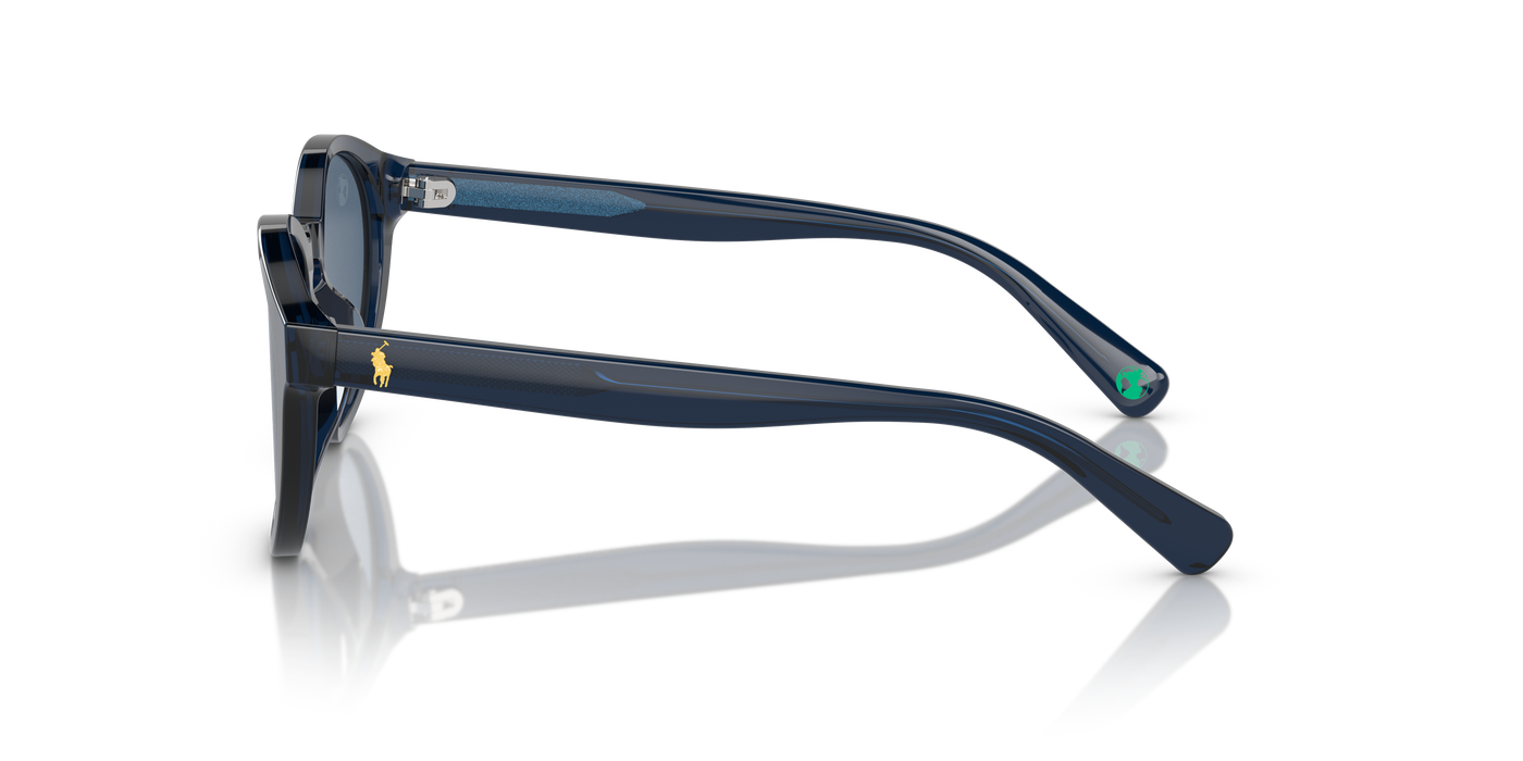 Gafas de Sol Polo Ralph Lauren Pp9505U PP9505U 596480 48 19