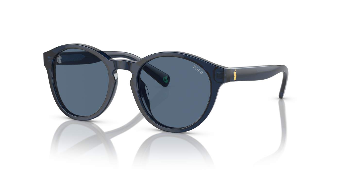 Gafas de Sol Polo Ralph Lauren Pp9505U PP9505U 596480 48 19
