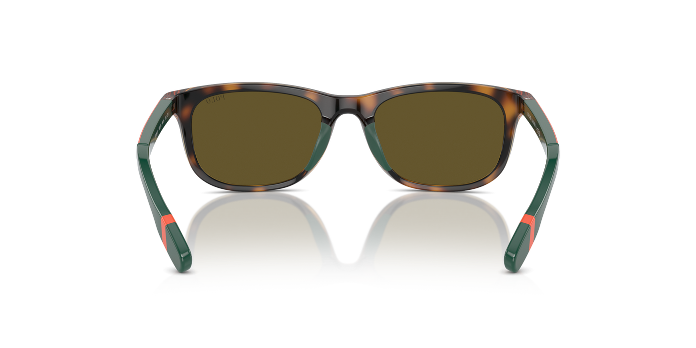 Sunglasses Polo Ralph Lauren Pp9507U PP9507U 500373 49 16