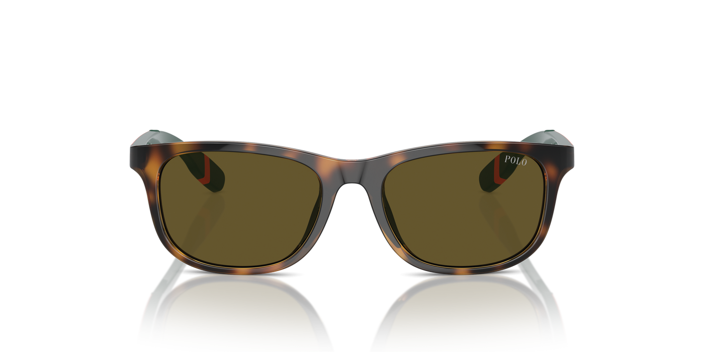 Sunglasses Polo Ralph Lauren Pp9507U PP9507U 500373 49 16