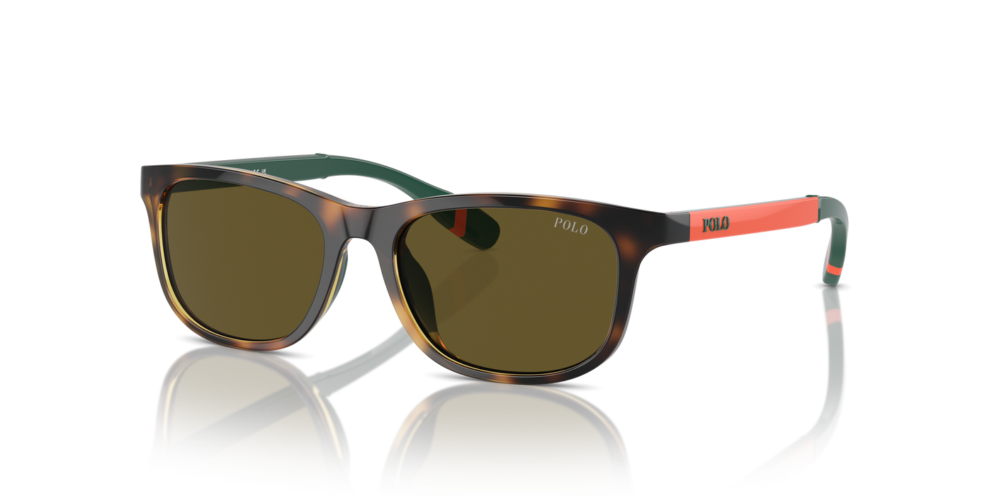 Sunglasses Polo Ralph Lauren Pp9507U PP9507U 500373 49 16