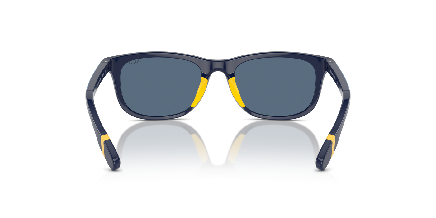 Sunglasses Polo Ralph Lauren Pp9507U PP9507U 562080 49 16
