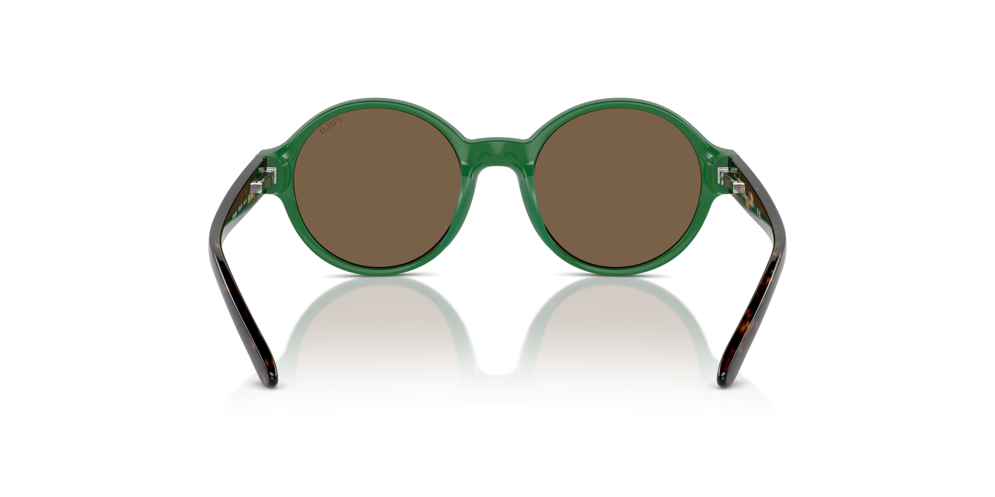 Sunglasses Polo Ralph Lauren Pp9508U PP9508U 619273 44 16