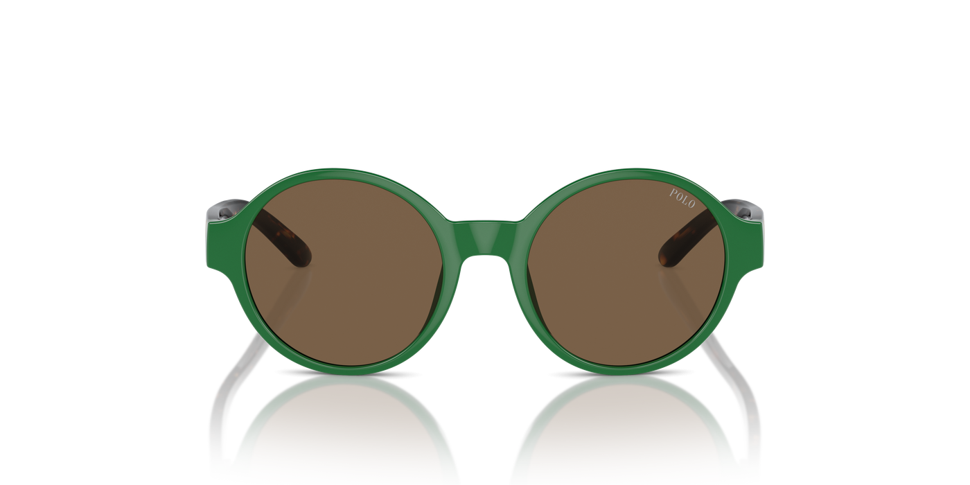 Sunglasses Polo Ralph Lauren Pp9508U PP9508U 619273 44 16