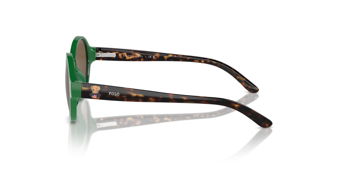 Sunglasses Polo Ralph Lauren Pp9508U PP9508U 619273 44 16