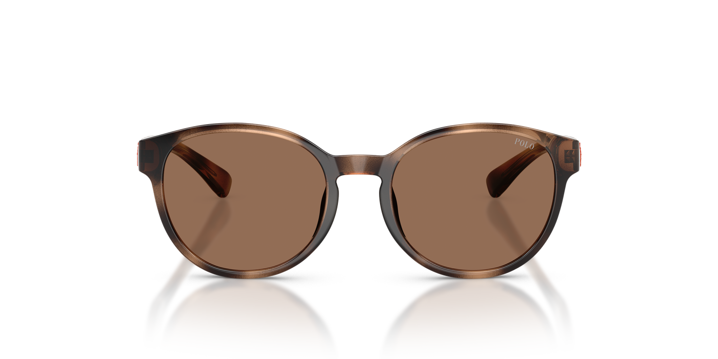 Gafas de Sol Polo Ralph Lauren Pp9509U PP9509U 597473 48 17