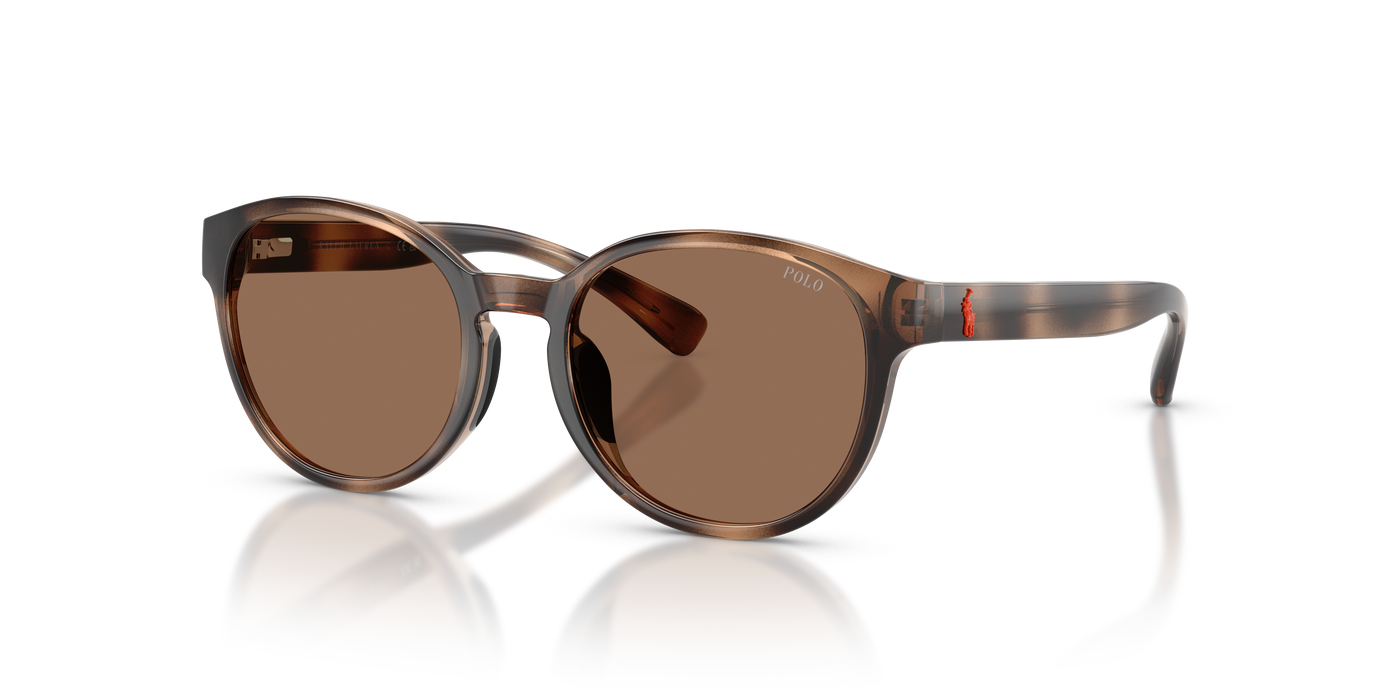 Gafas de Sol Polo Ralph Lauren Pp9509U PP9509U 597473 48 17