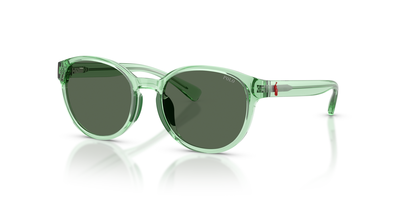 Gafas de Sol Polo Ralph Lauren Pp9509U PP9509U 625071 48 17