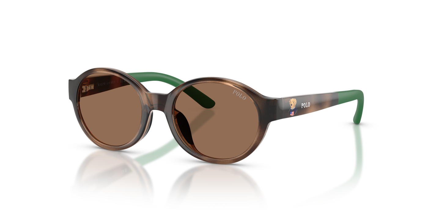 Gafas de Sol Polo Ralph Lauren Pp9510U PP9510U 500373 45 16