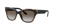 Sunglasses Prada PR23XS 3890A7 53 16